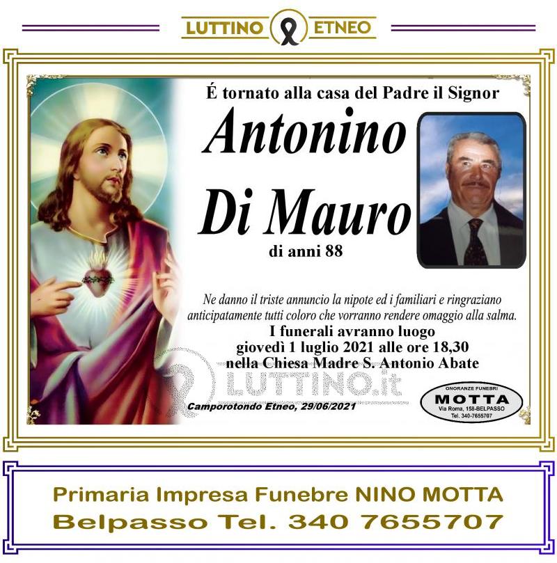 Antonino  Di Mauro 
